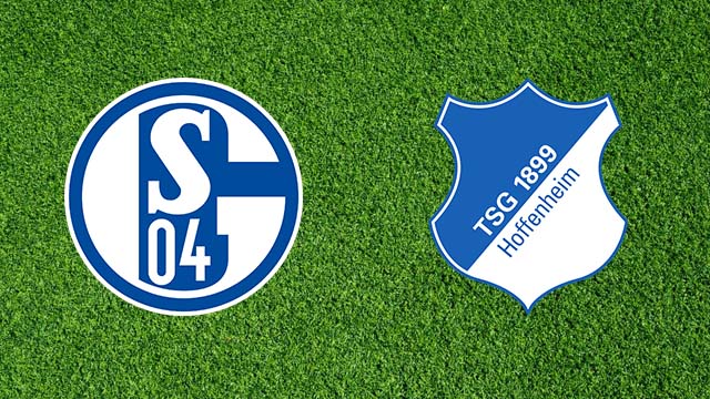Nhận định soi kèo Schalke vs Hoffenheim